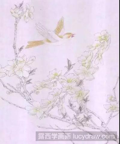 工笔画教程-怎么绘制桃花与鸟