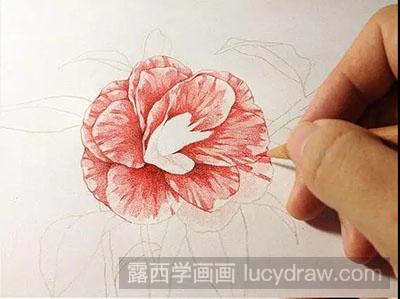 彩铅画教程-怎么绘制一朵漂亮的花