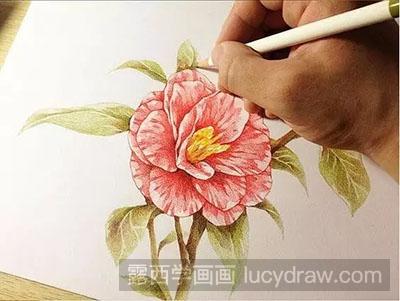 彩铅画教程-怎么绘制一朵漂亮的花
