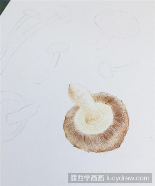色彩香菇画法图片