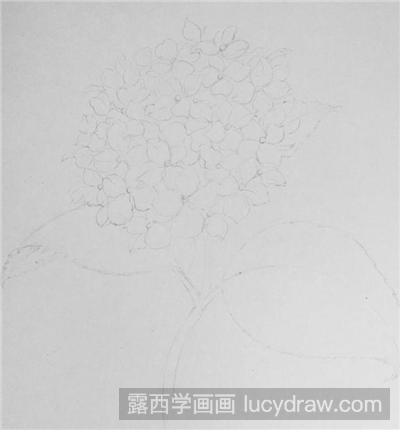 绣球花彩铅画教程