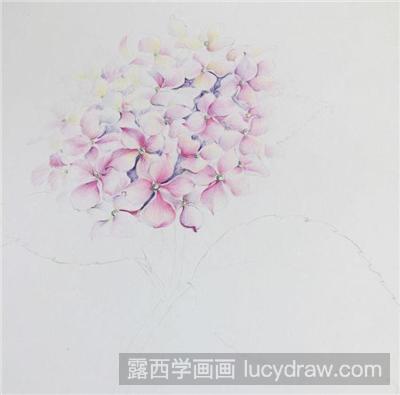 绣球花彩铅画教程