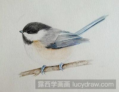 彩铅画教程-怎么绘制雪中鸟