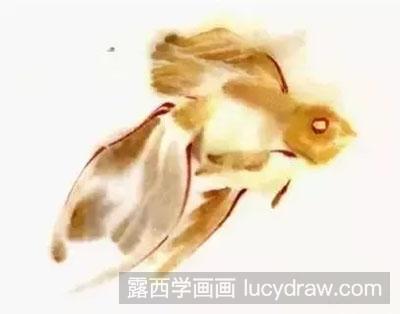 国画教程-怎么绘制金鱼鱼鳍