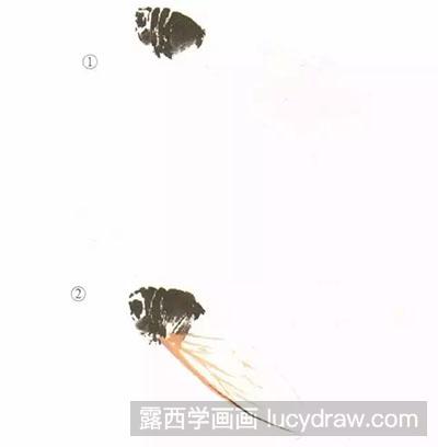 工笔画教程-小写意绘制蝉的步骤