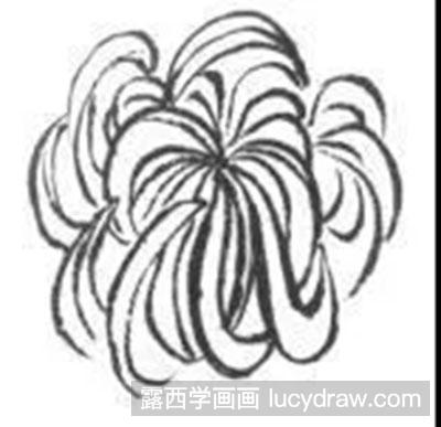 怎么绘制白描菊花