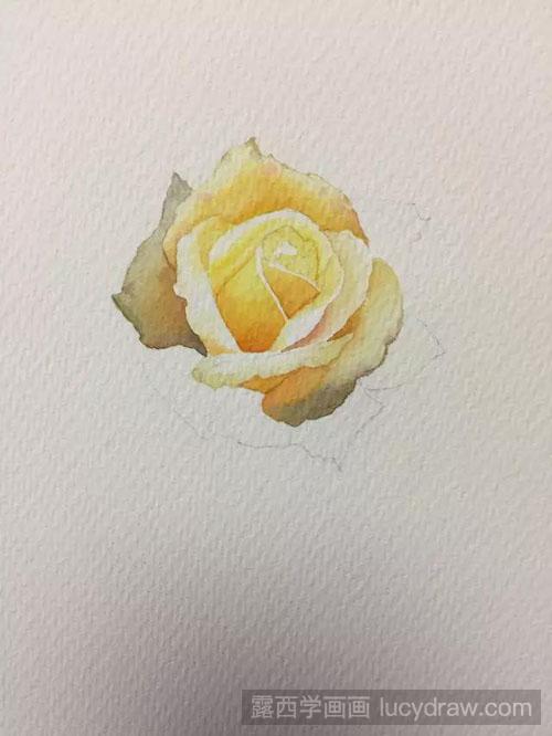 水彩黄色玫瑰花画法教程