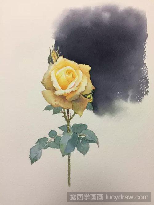 水彩黄色玫瑰花画法教程