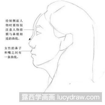 望向远方的女青年素描教程