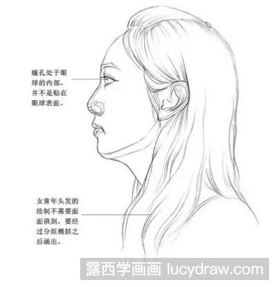 望向远方的女青年素描教程