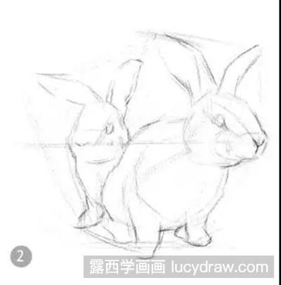 素描教程-怎么绘制小白兔