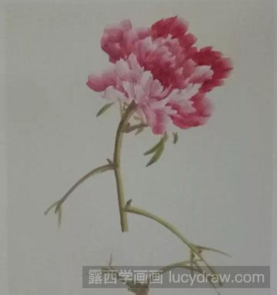 怎么绘制牡丹花《独冠群芳》