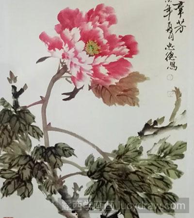 怎么绘制牡丹花《独冠群芳》