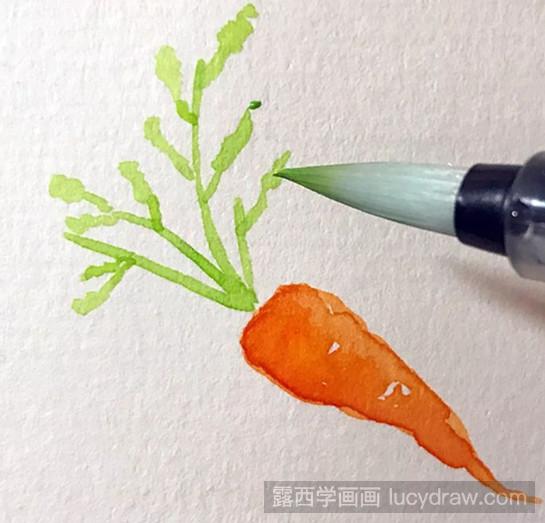 水彩画教程：胡萝卜