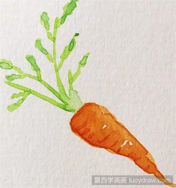 水彩画教程：胡萝卜