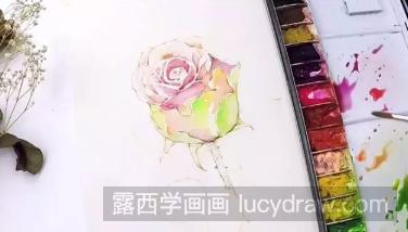 玫瑰水彩画法步骤教程
