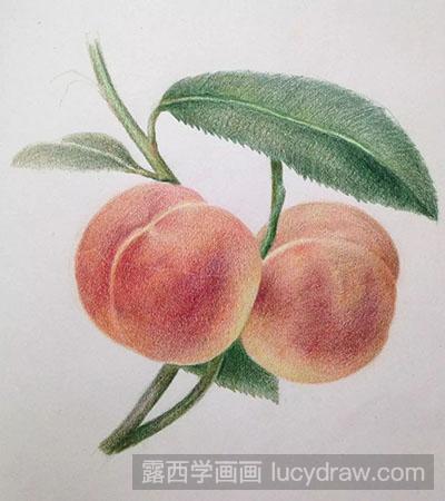 彩铅画教程-怎么绘制桃子