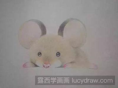 彩铅画教程-怎么绘制小老鼠