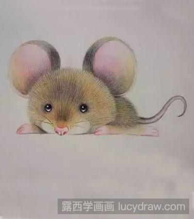 彩铅画教程-怎么绘制小老鼠