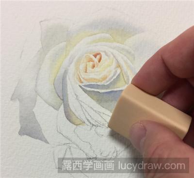 水彩画白玫瑰教程