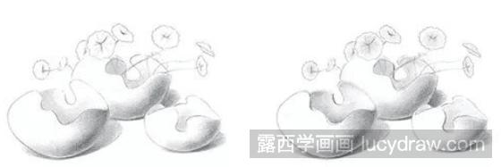 素描教程：怎么画盆栽