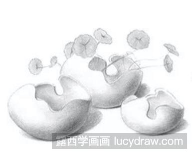 素描教程：怎么画盆栽