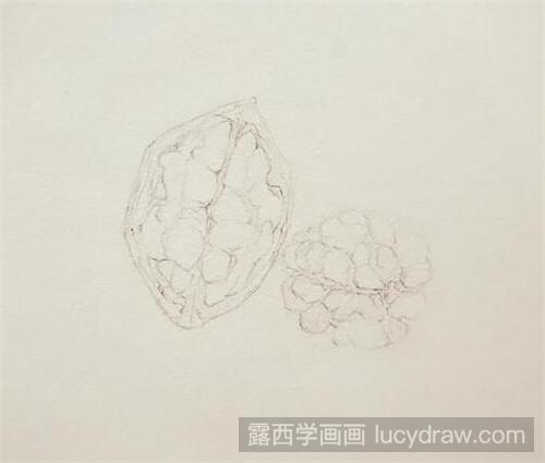 核桃彩铅画教程