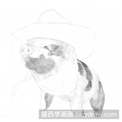 素描小香猪的画法