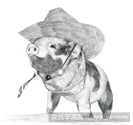 素描小香猪的画法