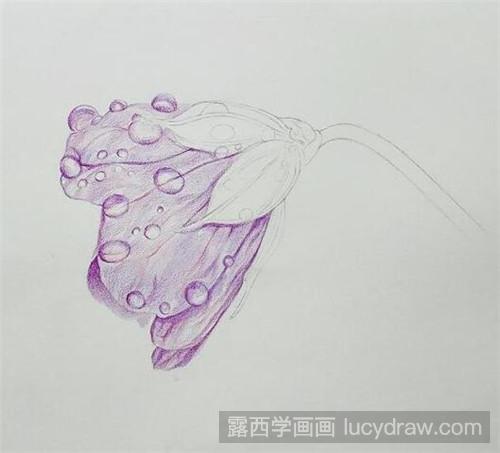 彩铅画教程：带水珠的紫色花朵