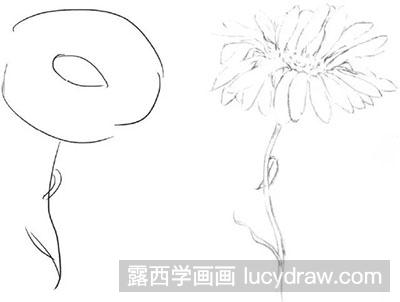 怎么绘制太阳菊