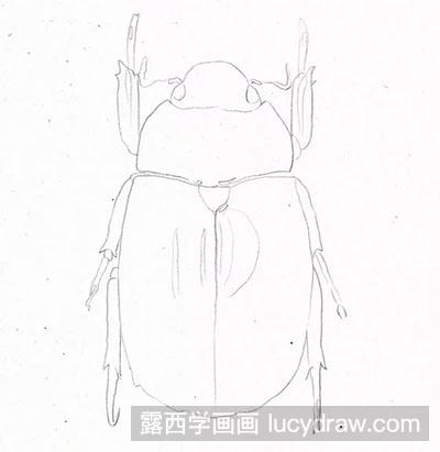 怎么绘制甲虫