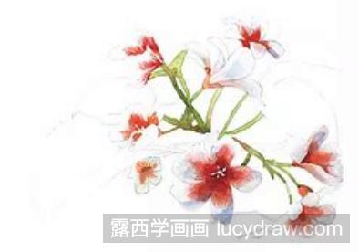 桐花时节水彩教程