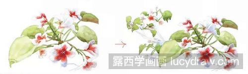 桐花时节水彩教程