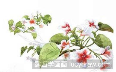 桐花时节水彩教程