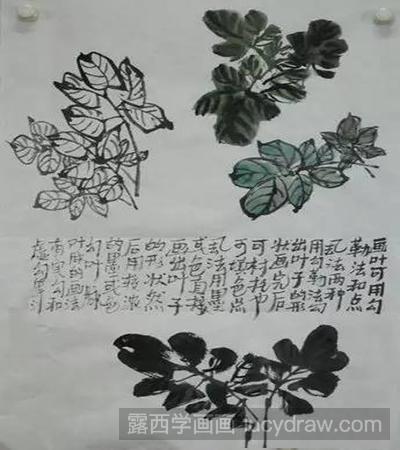 国画教程：怎么画紫藤叶和藤