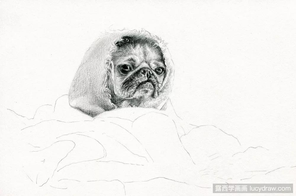 动物素描：狗狗的详细画法