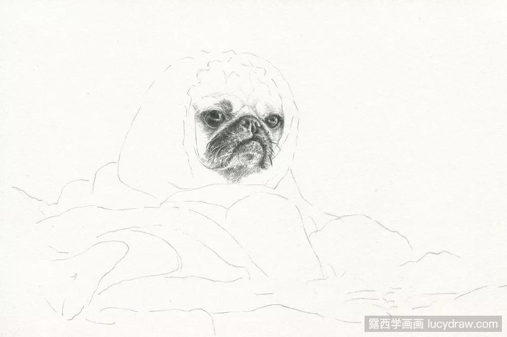 动物素描：狗狗的详细画法