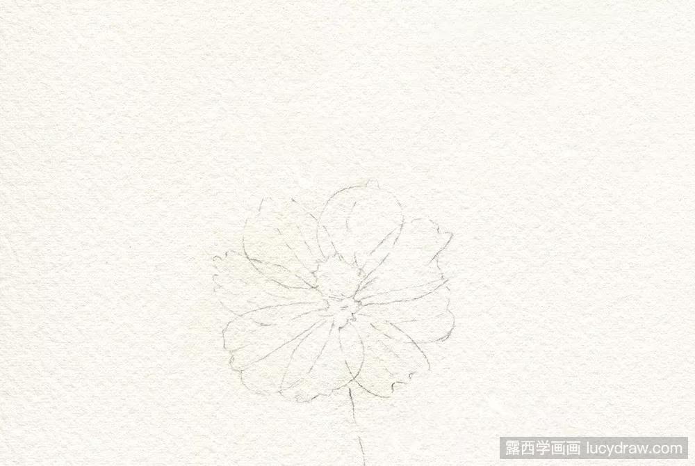 彩铅教程：花卉的画法