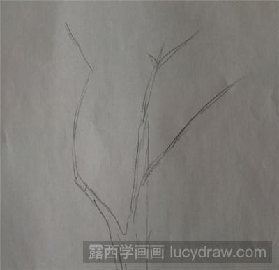 素描教程：怎么画垂柳