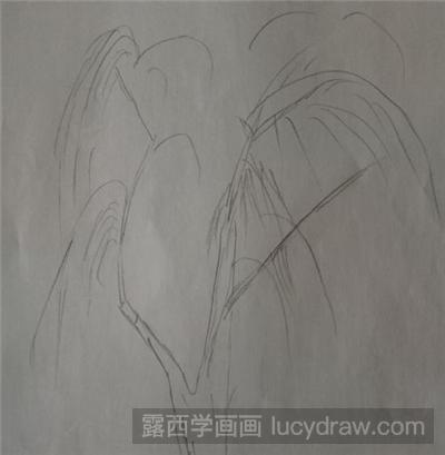 素描教程：怎么画垂柳