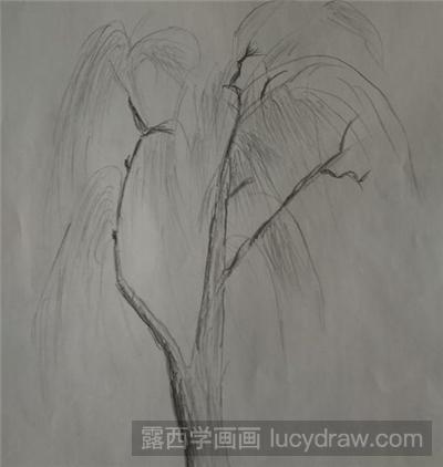 素描教程：怎么画垂柳