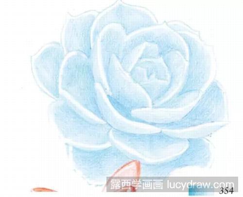 彩铅画教程：多肉捧花