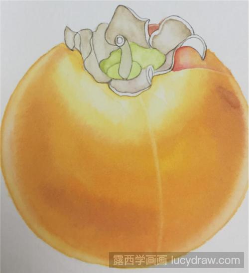柿子水彩画教程