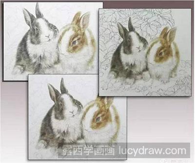 工笔画教程-兔子的绘制方法