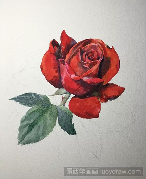 水彩画教程-怎么绘制红玫瑰