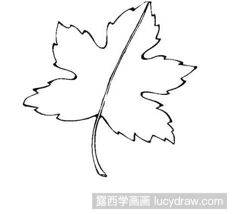 简单的枫叶怎么画?