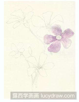 水彩画紫色的小花步骤教程