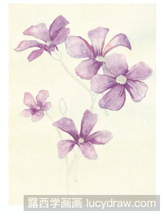 水彩画紫色的小花步骤教程