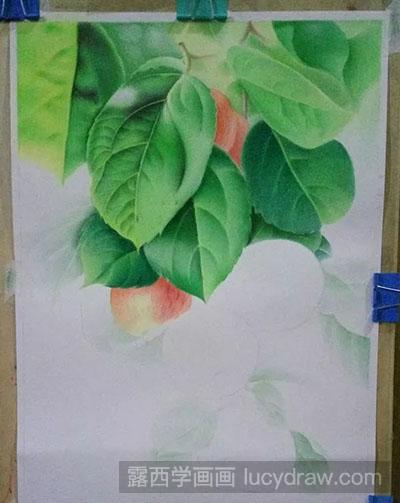 彩铅画教程-怎么绘制苹果
